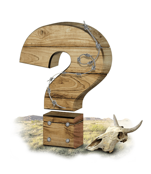 Fence FAQs in Houston Texas